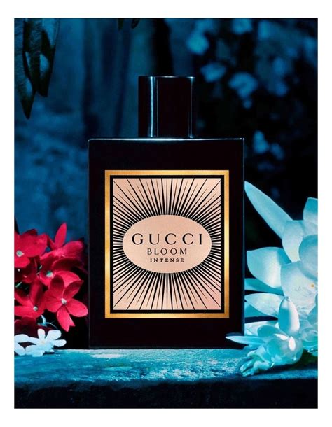 myer gucci bloom
